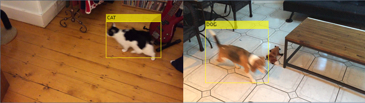 Figure 1: Pet detection and recognition system.